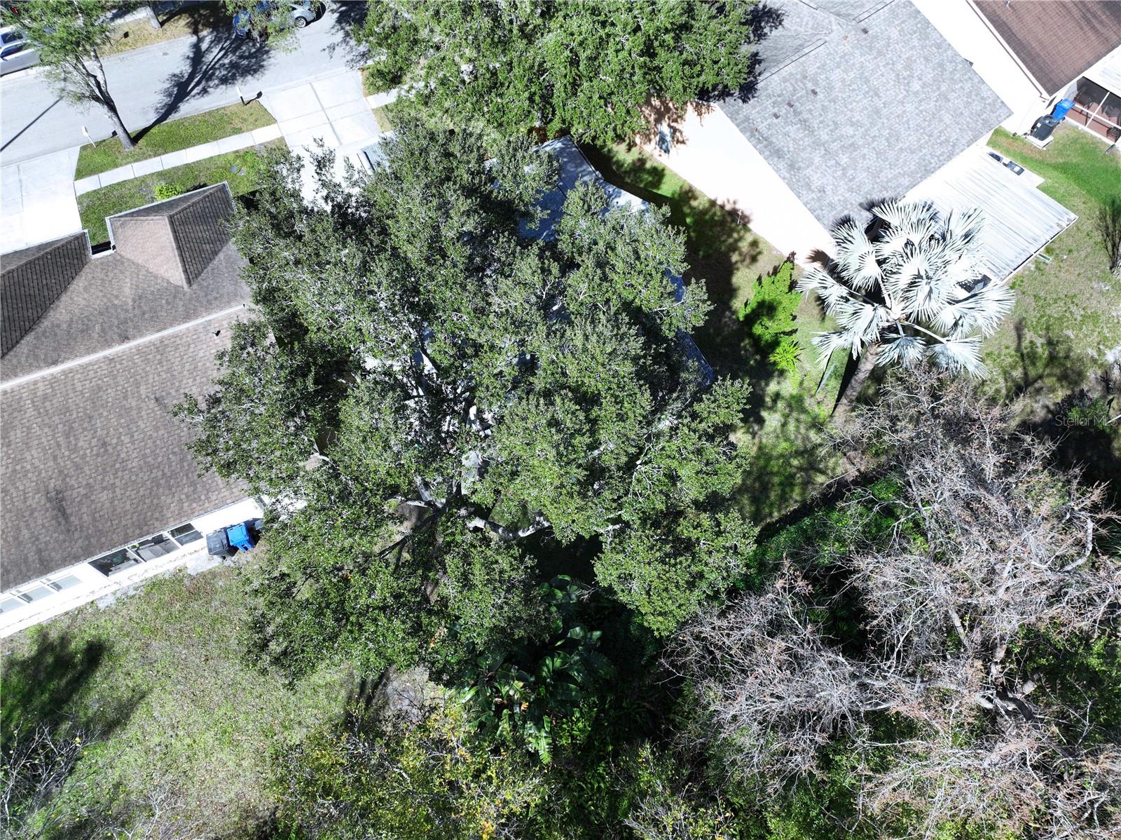 Image 73 of 76 For 7517 Savannah Lane