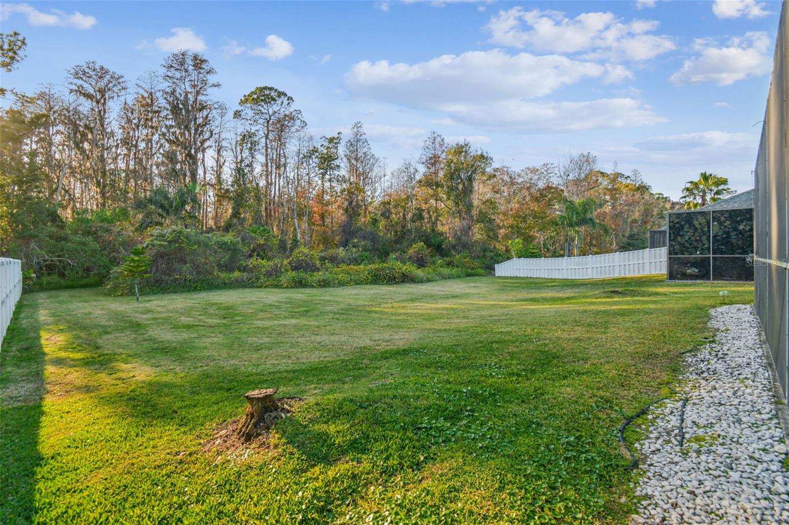 Image 25 of 41 For 14526 Weeping Elm Drive