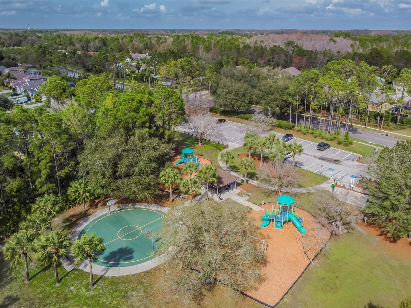 Image 39 of 41 For 14526 Weeping Elm Drive