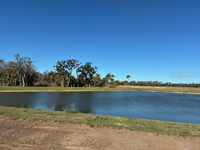Image 8 of 8 For 10164 Hidden Hammock Loop
