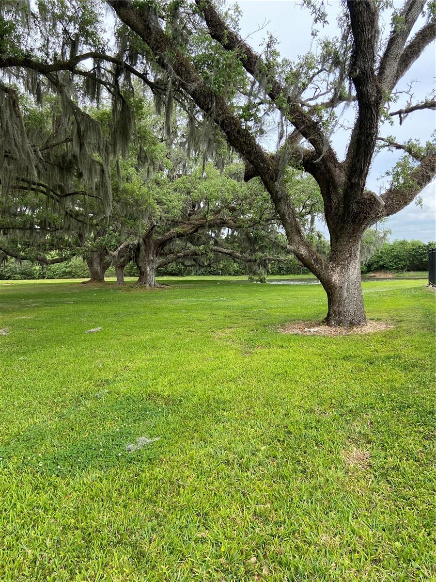 Image 31 of 33 For 8210 Down Royal Road