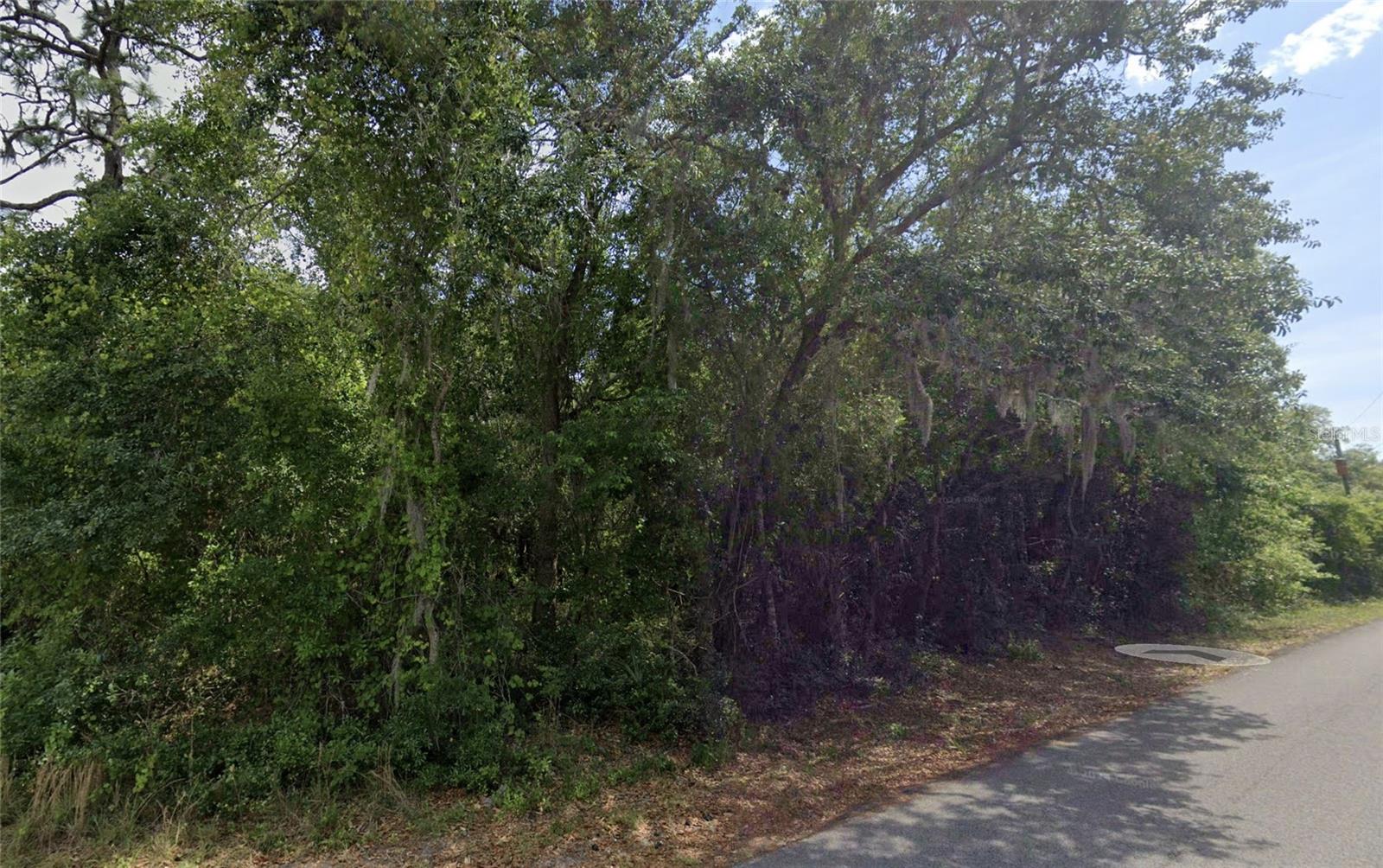 Image 6 of 8 For Bruin Dr