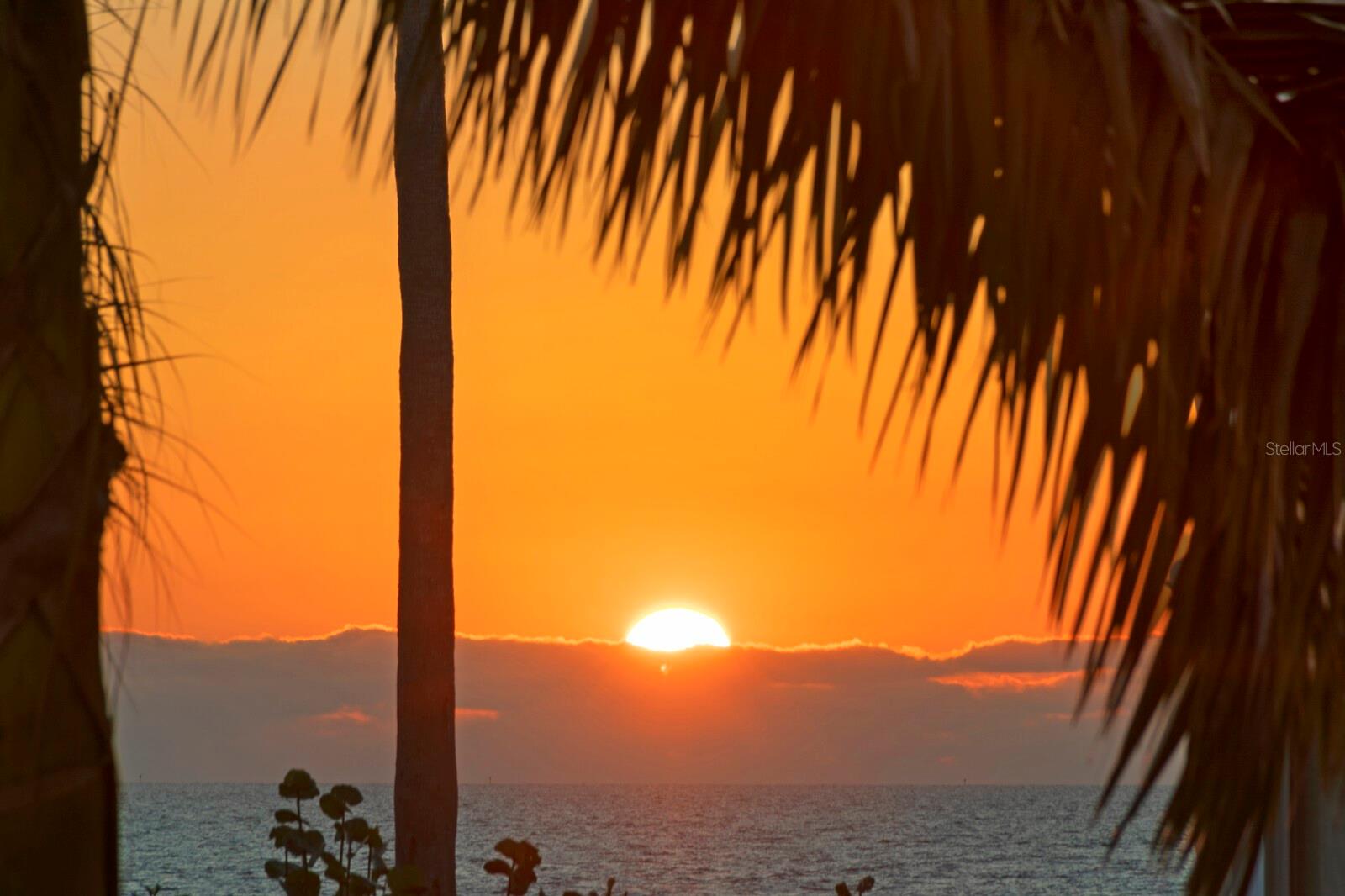 Image 47 of 47 For 1315 Jumana Loop