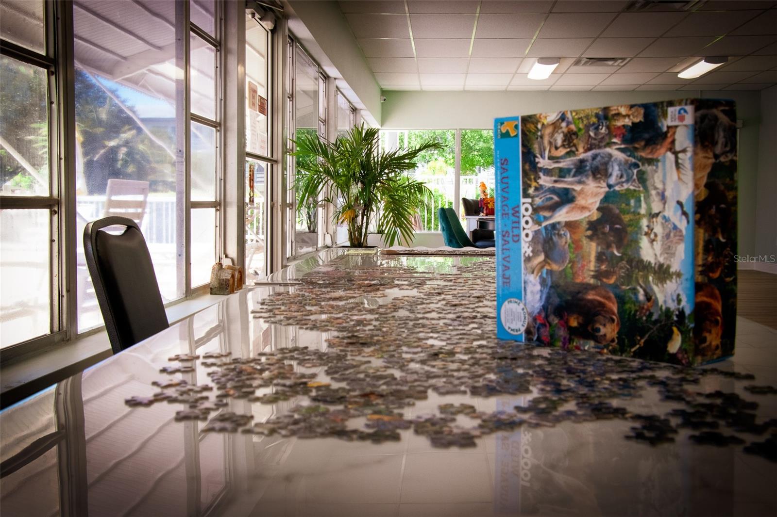 Image 34 of 50 For 1900 59th Avenue N 305