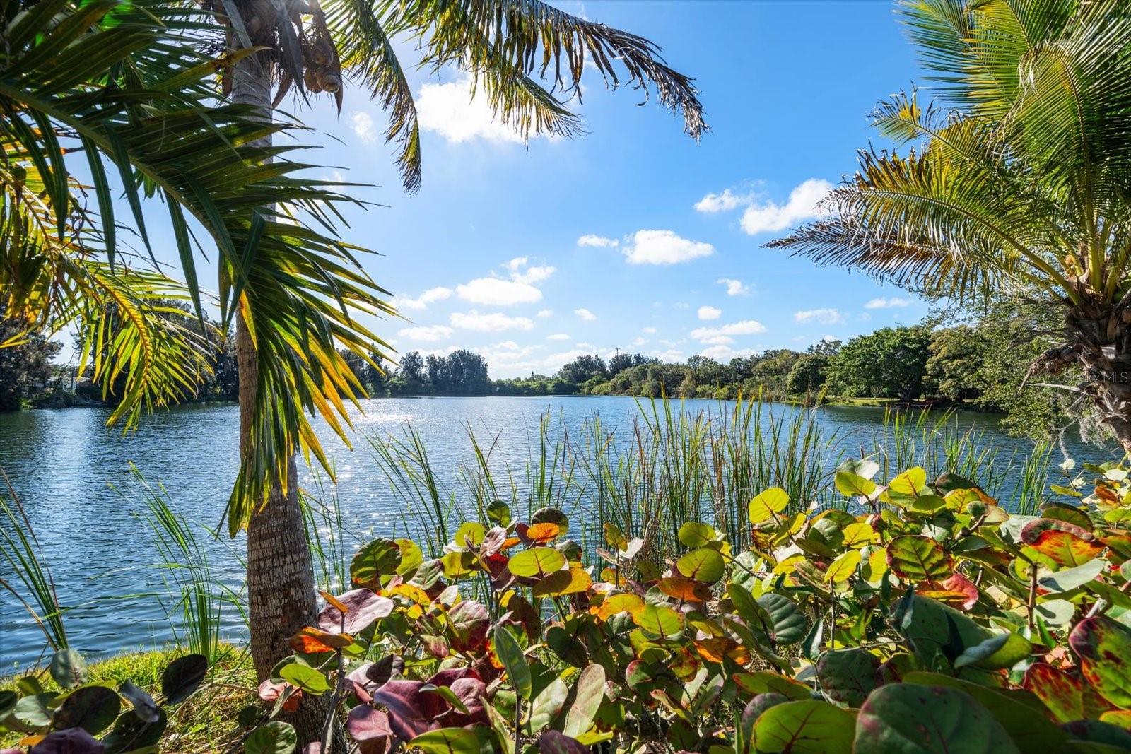 Image 35 of 83 For 2402 Pine Hammock