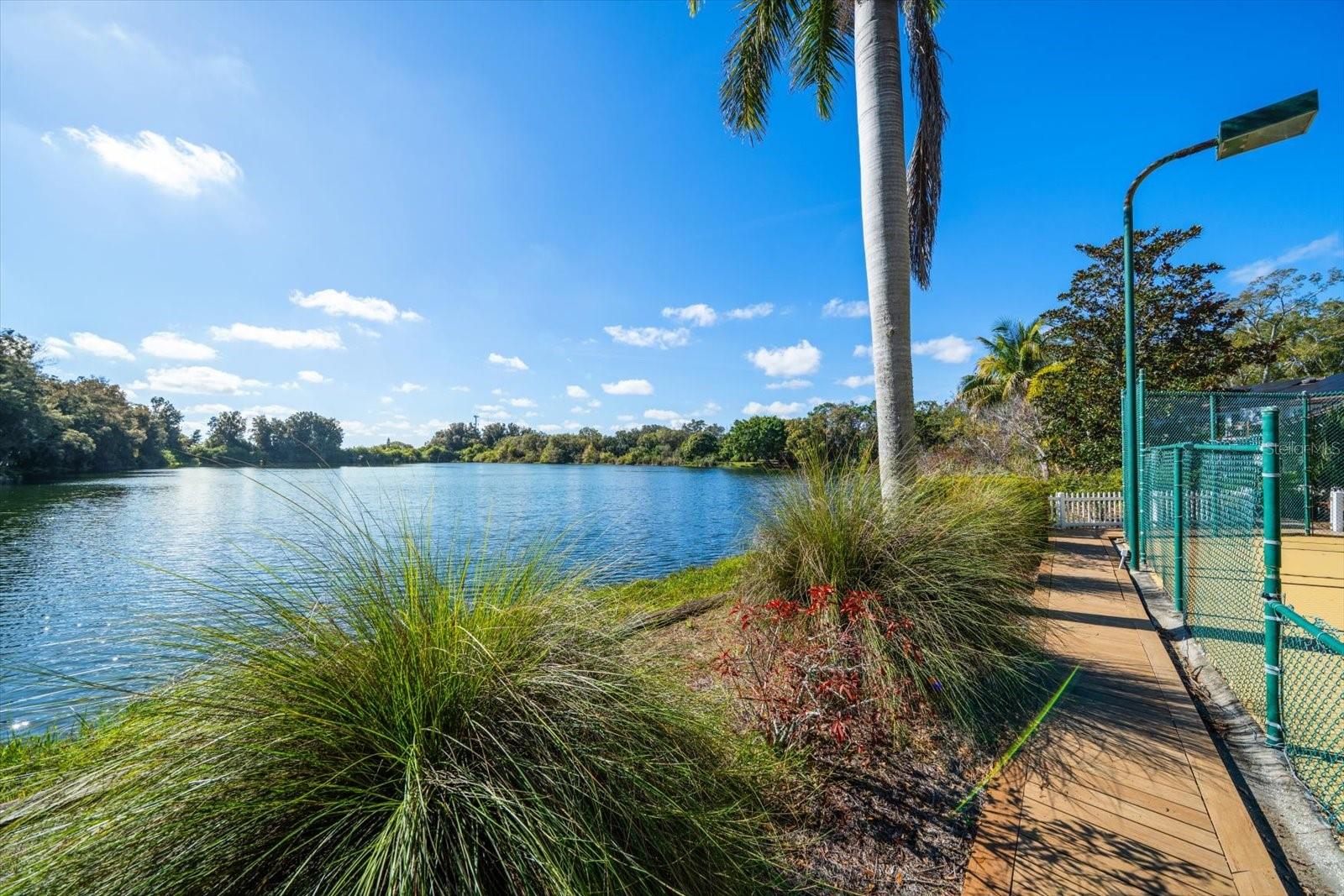 Image 7 of 83 For 2402 Pine Hammock