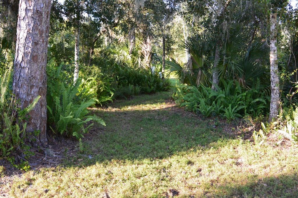 Image 9 of 15 For 4327 Turkey Hammock Road