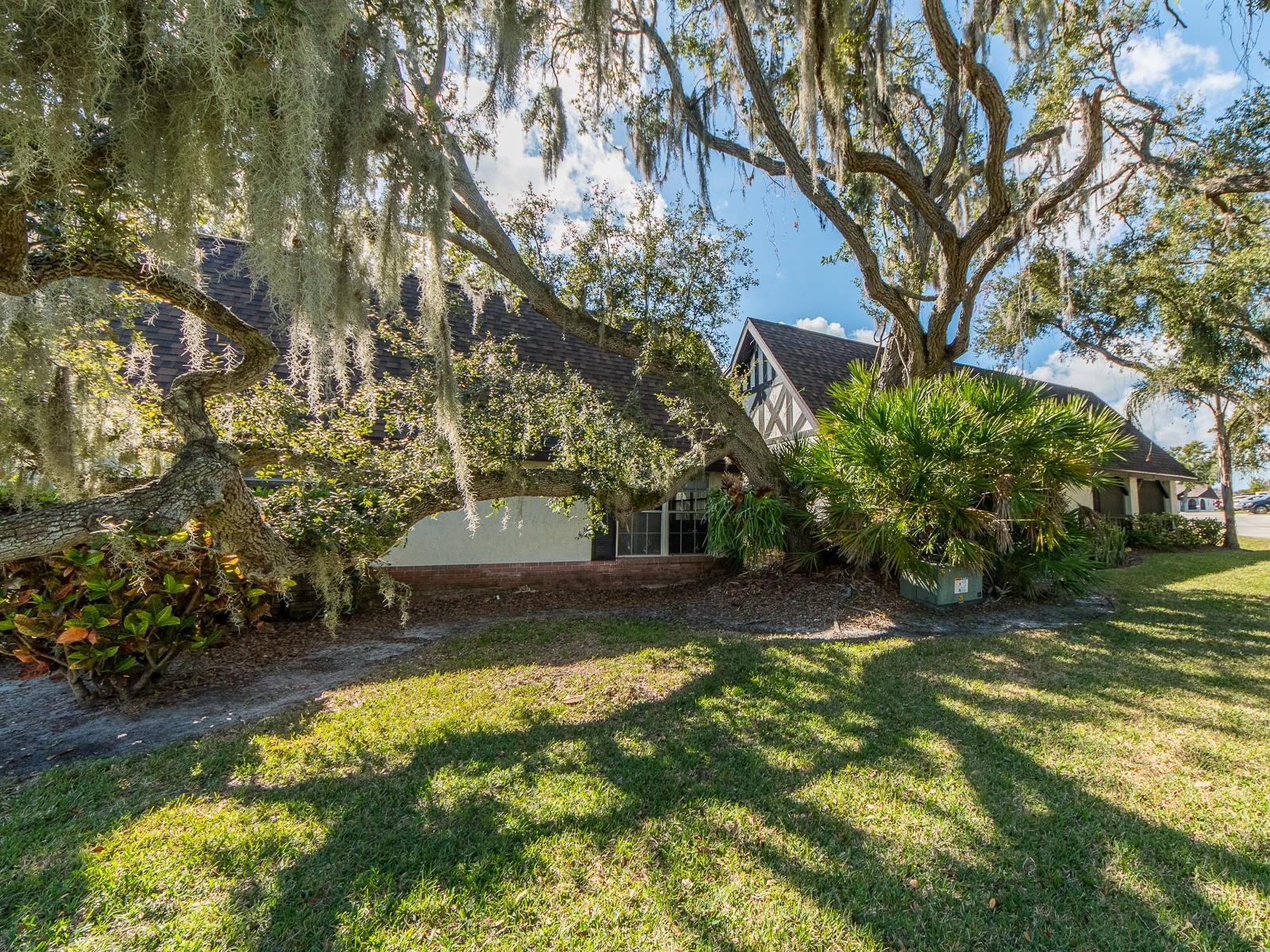 Image 27 of 34 For 310 Bayshore Boulevard 103