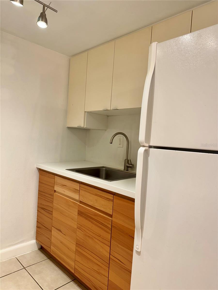 Image 12 of 18 For 5221 Bayshore Boulevard 19