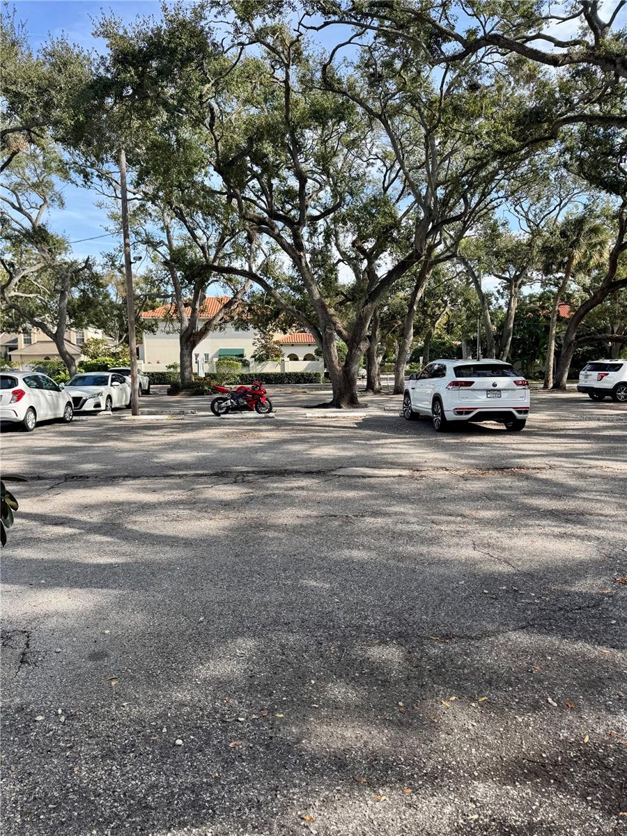 Image 2 of 18 For 5221 Bayshore Boulevard 19