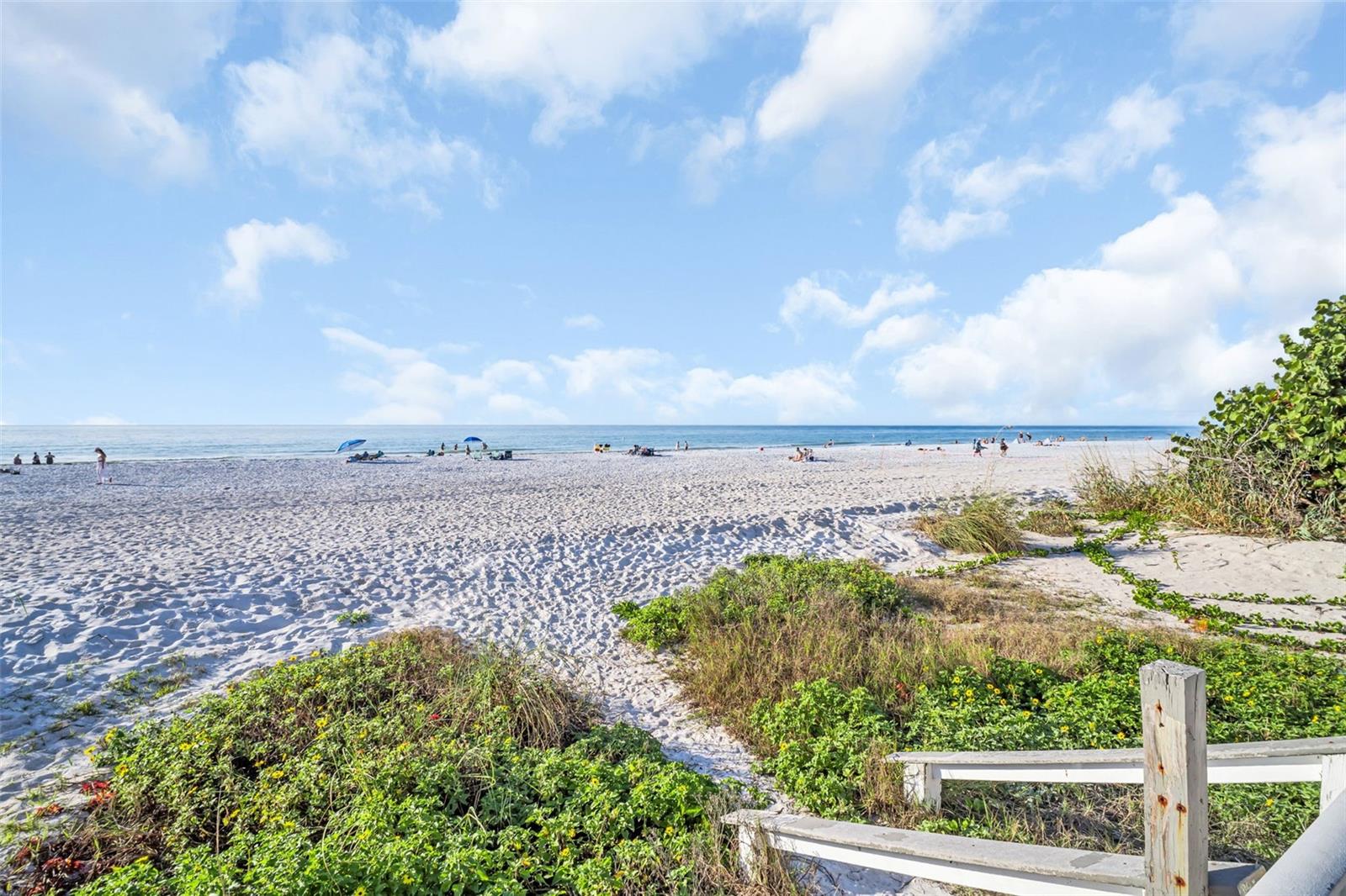 Image 37 of 41 For 1802 Gulf Boulevard 12