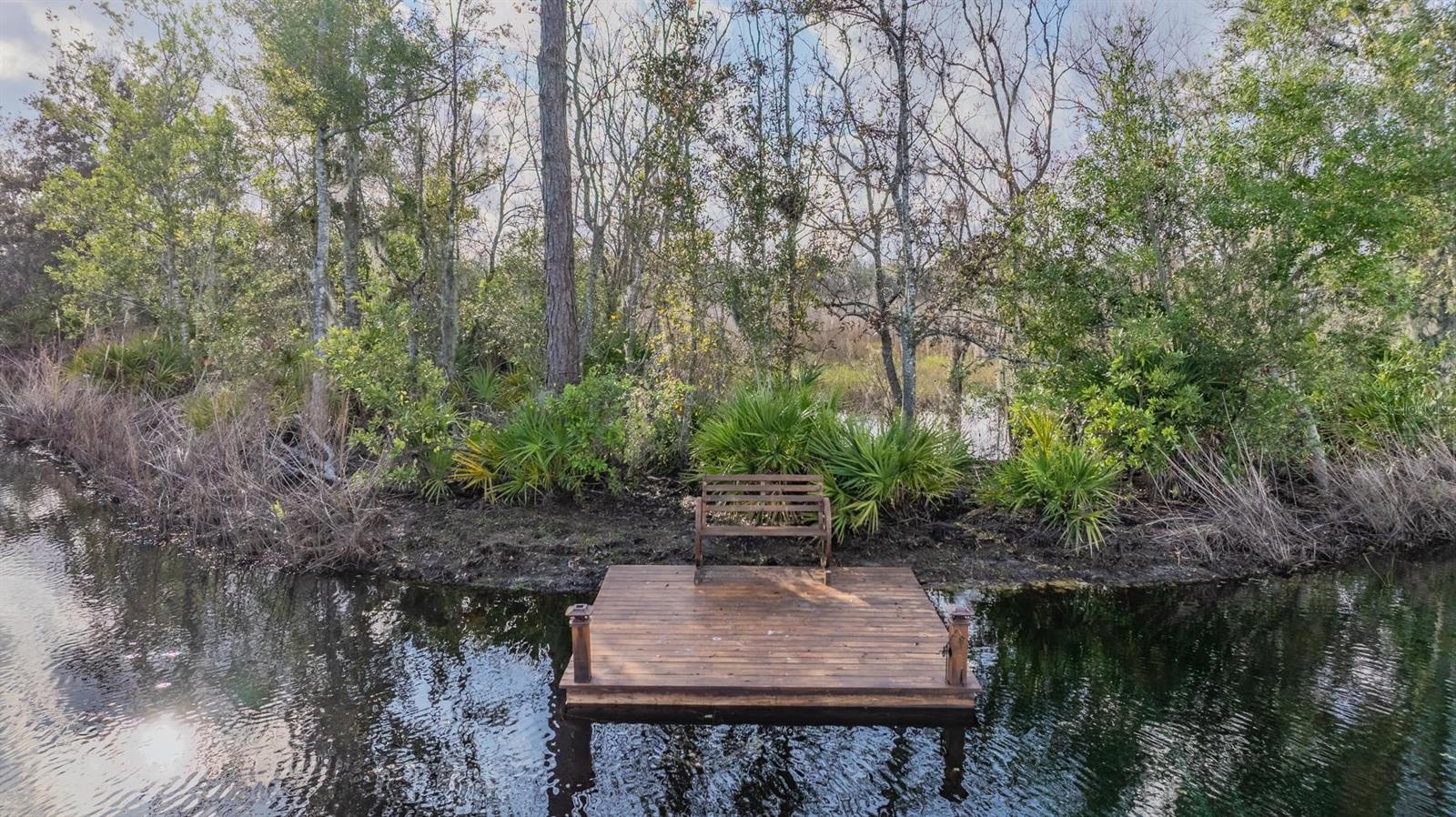 Image 13 of 30 For 22980 Scaglione Drive