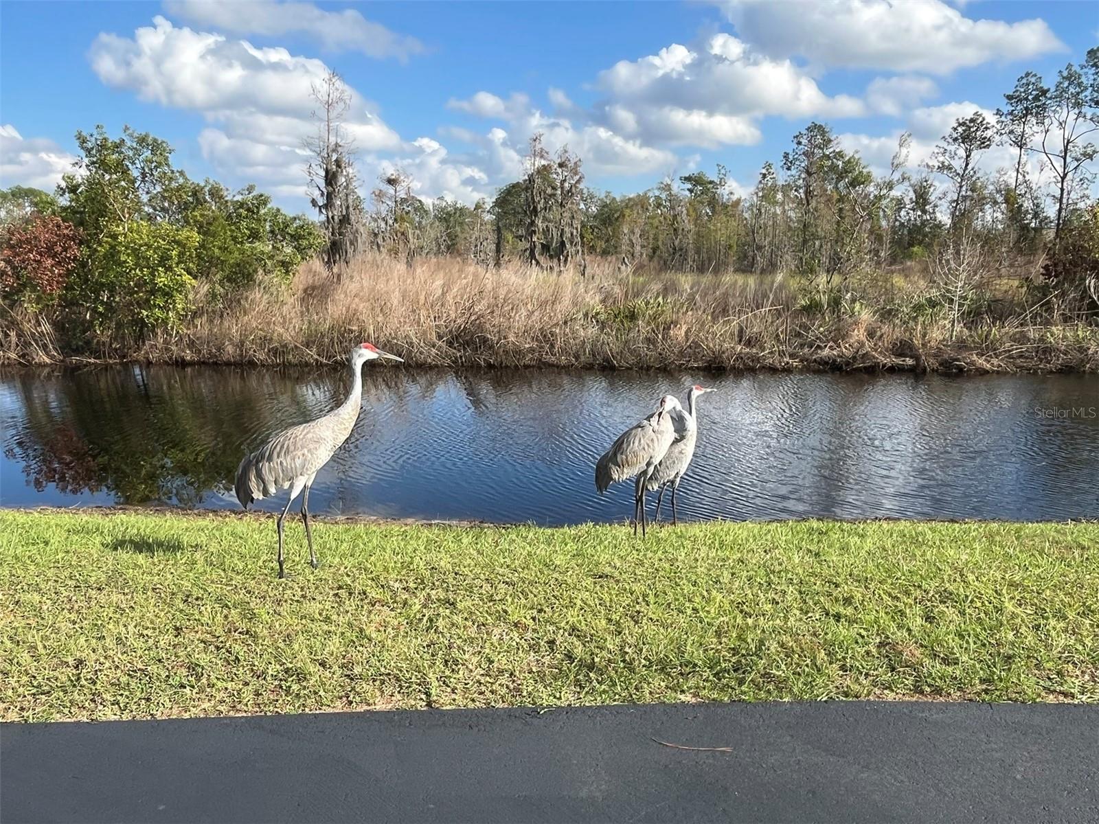 Image 20 of 30 For 22980 Scaglione Drive