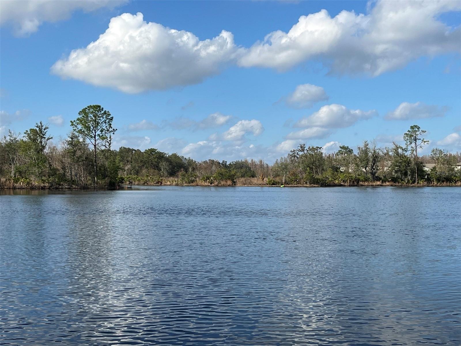 Image 23 of 30 For 22980 Scaglione Drive