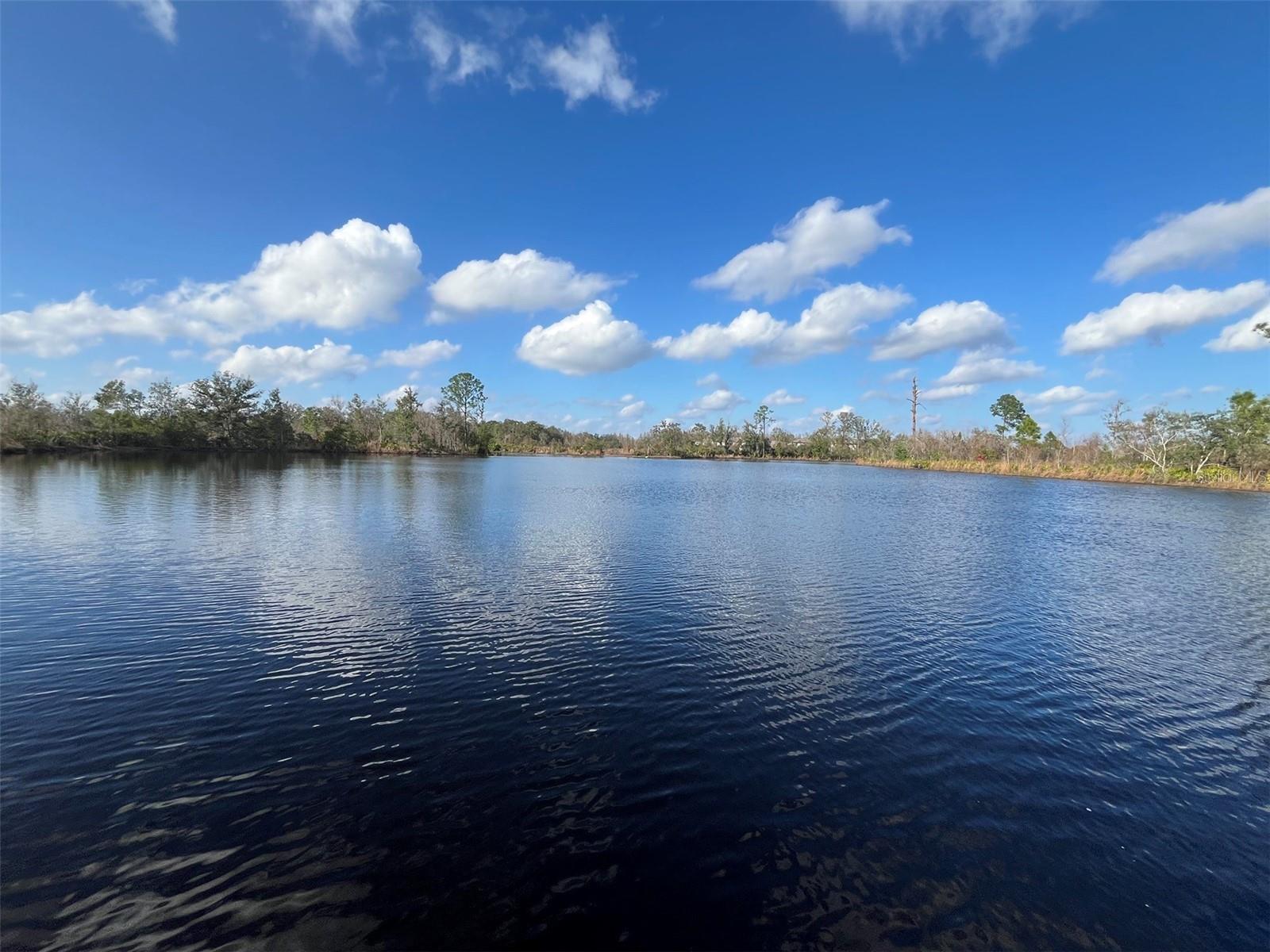 Image 24 of 30 For 22980 Scaglione Drive