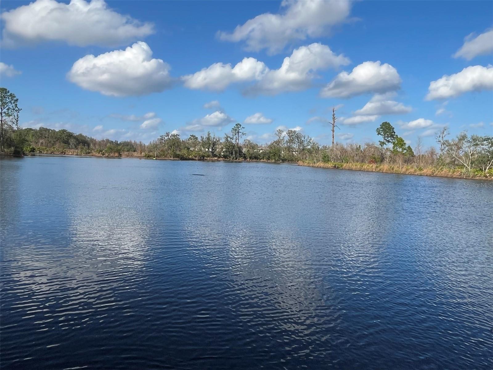 Image 25 of 30 For 22980 Scaglione Drive