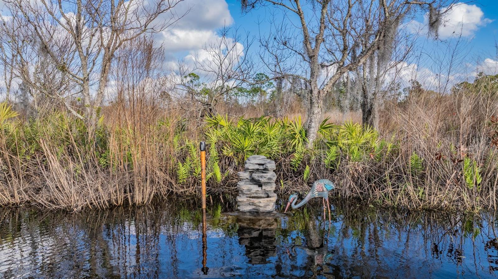 Image 9 of 30 For 22980 Scaglione Drive