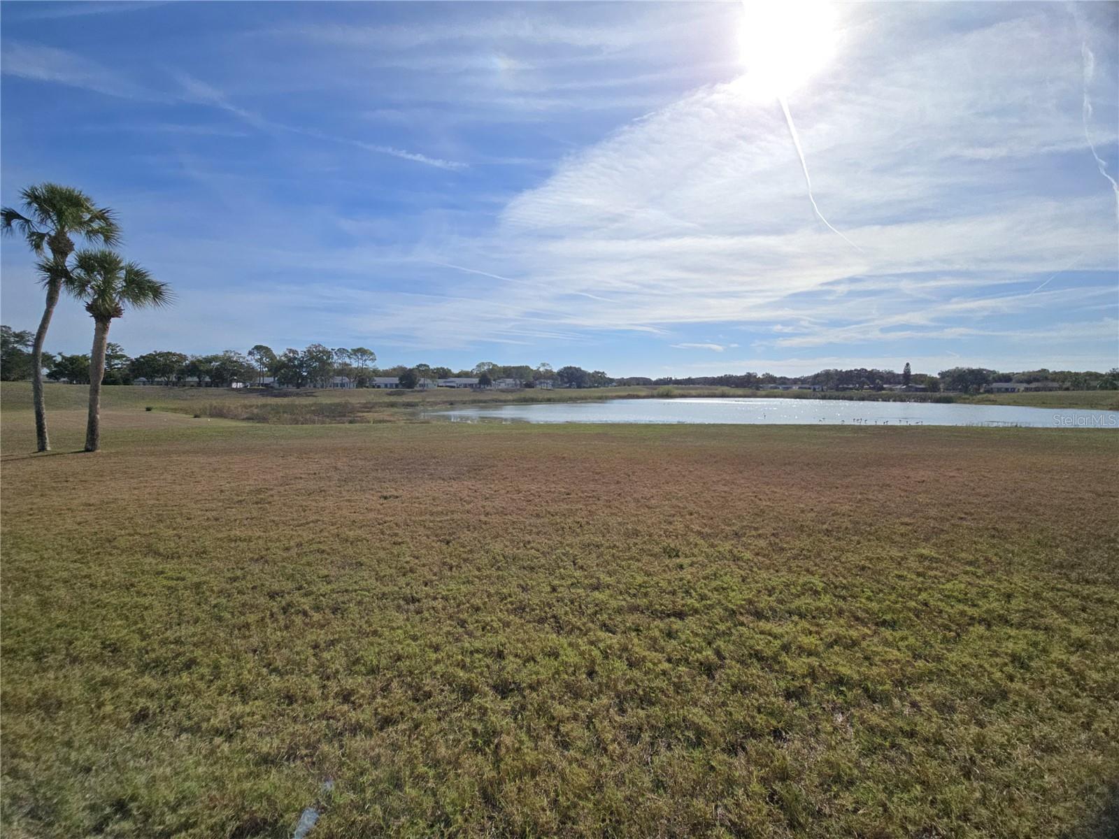 Image 21 of 22 For 11130 Carriage Hill Drive 4