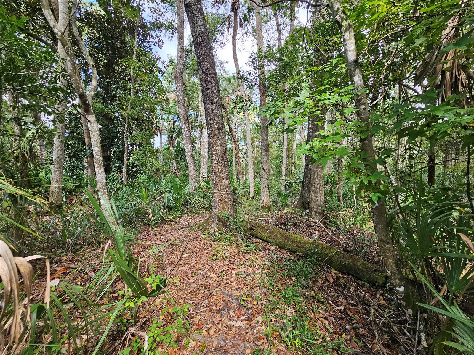 Image 32 of 38 For 7505 Jomel Drive