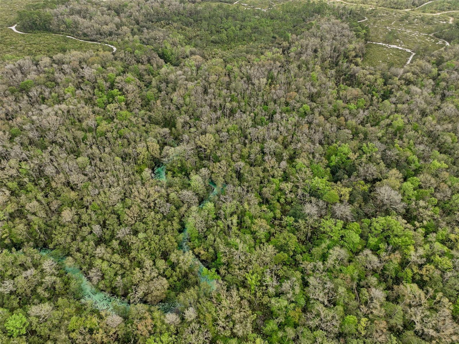 Image 35 of 38 For 7505 Jomel Drive