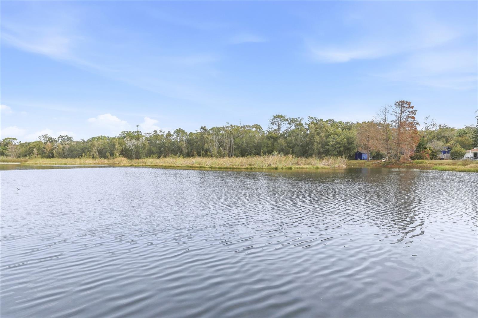 Image 42 of 45 For 1005 Cedar Lake Drive