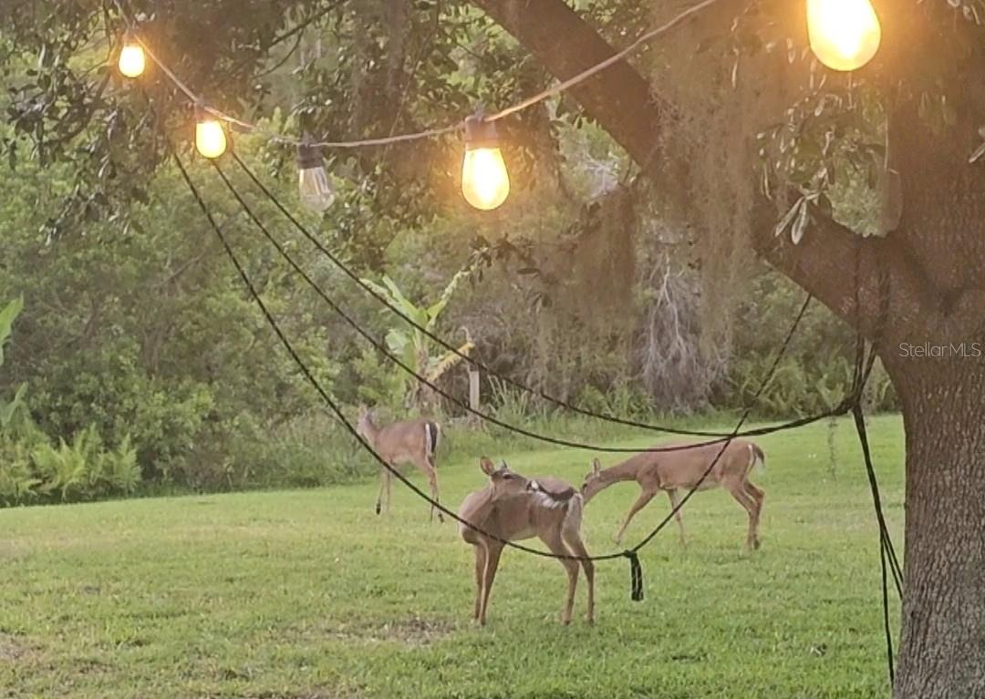 Image 53 of 53 For 14832 Windigo Lane