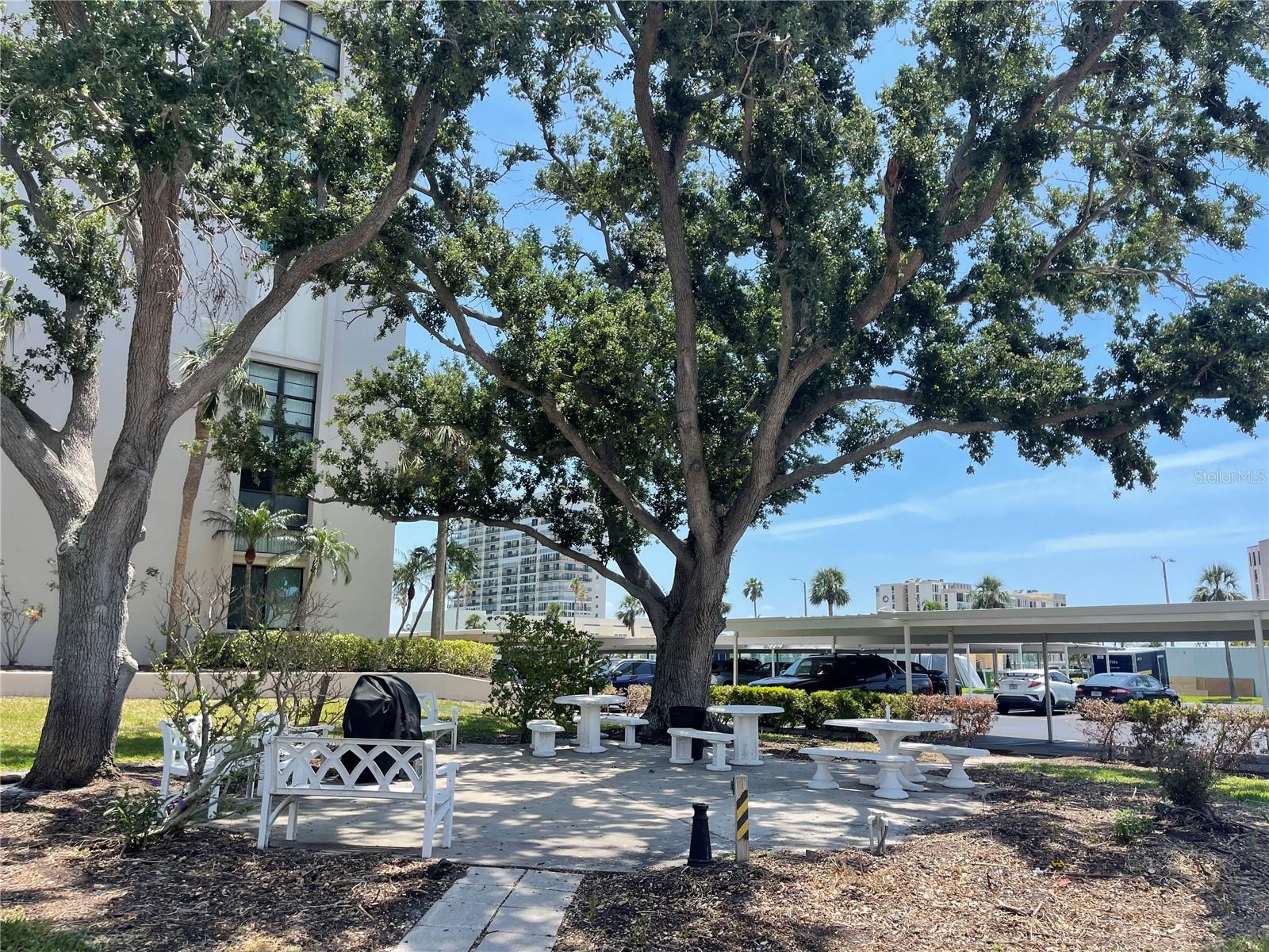 Image 6 of 23 For 7910 Sun Island Drive S 203