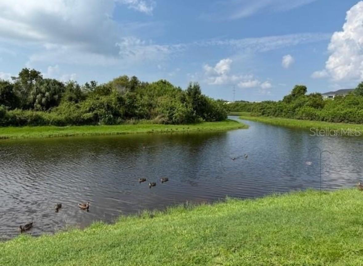 Image 12 of 12 For 8951 Turnstone Haven Place