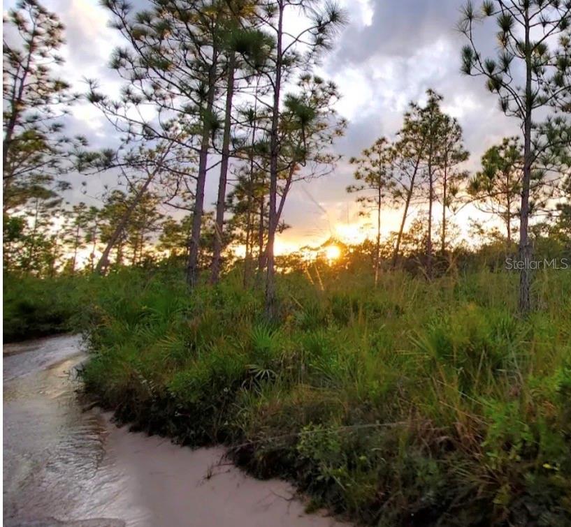 Image 4 of 7 For River Ranch Blvd