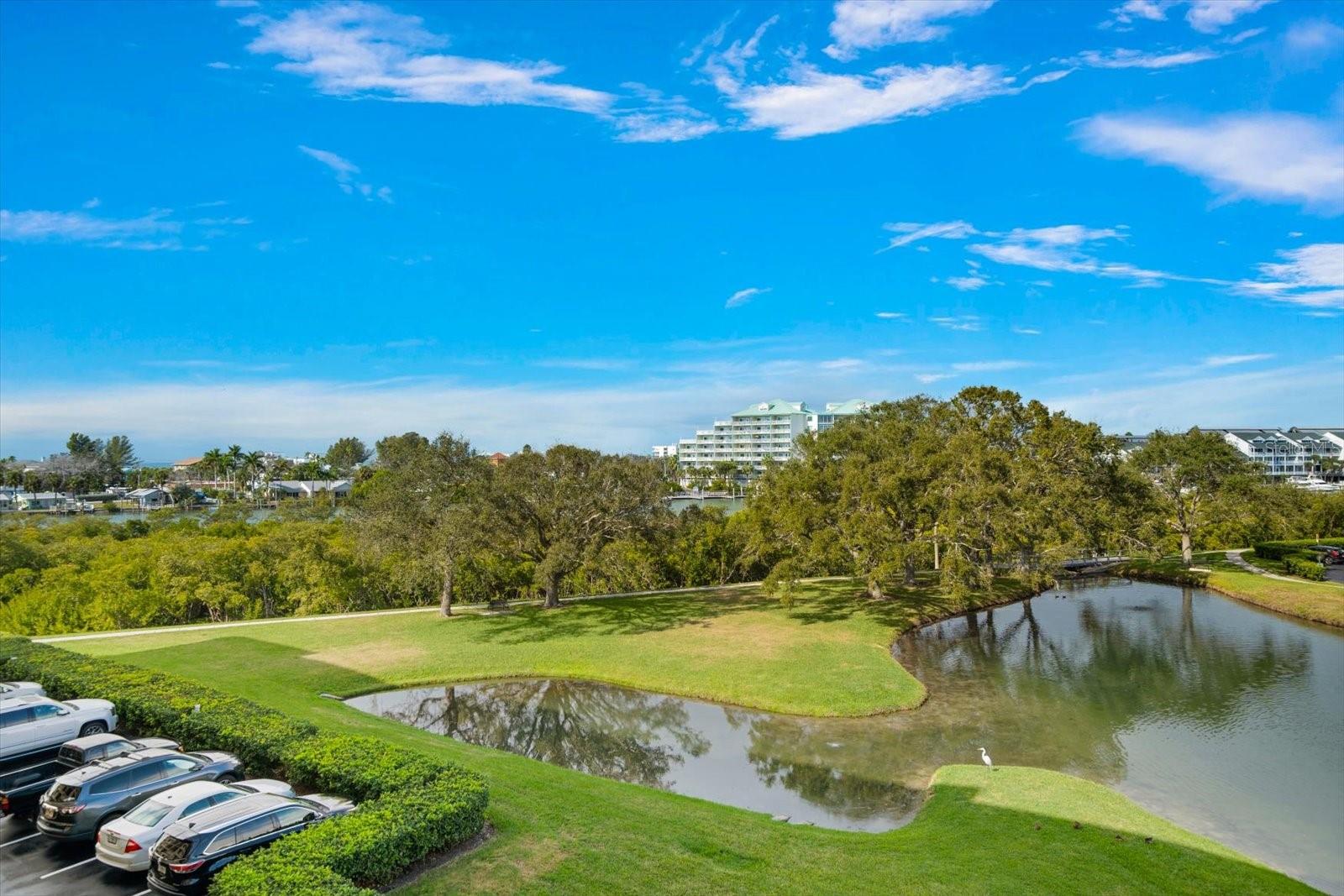 Image 12 of 56 For 11590 Shipwatch Drive 447