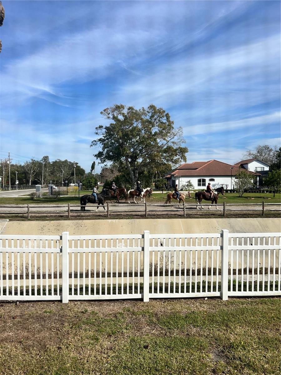 Image 12 of 17 For 6204 92nd Place N 3705