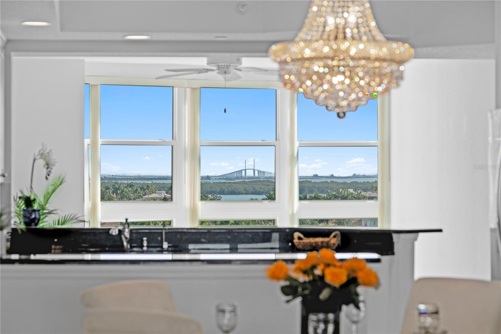 Image 28 of 66 For 4971 Bacopa Lane S 703