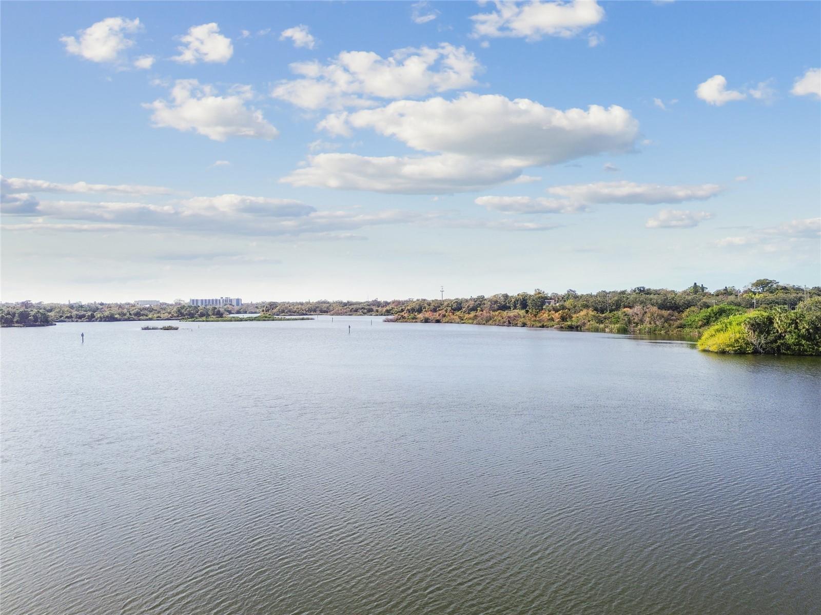 Image 6 of 10 For 939 Bayshore Boulevard