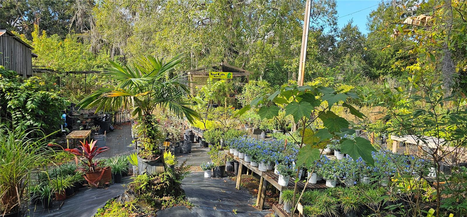 Image 6 of 47 For 9906 Gunn Highway