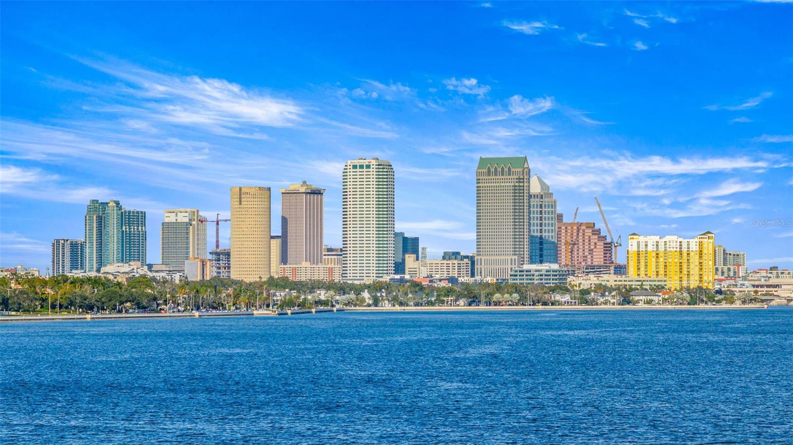 Image 12 of 37 For 3325 Bayshore Boulevard B13