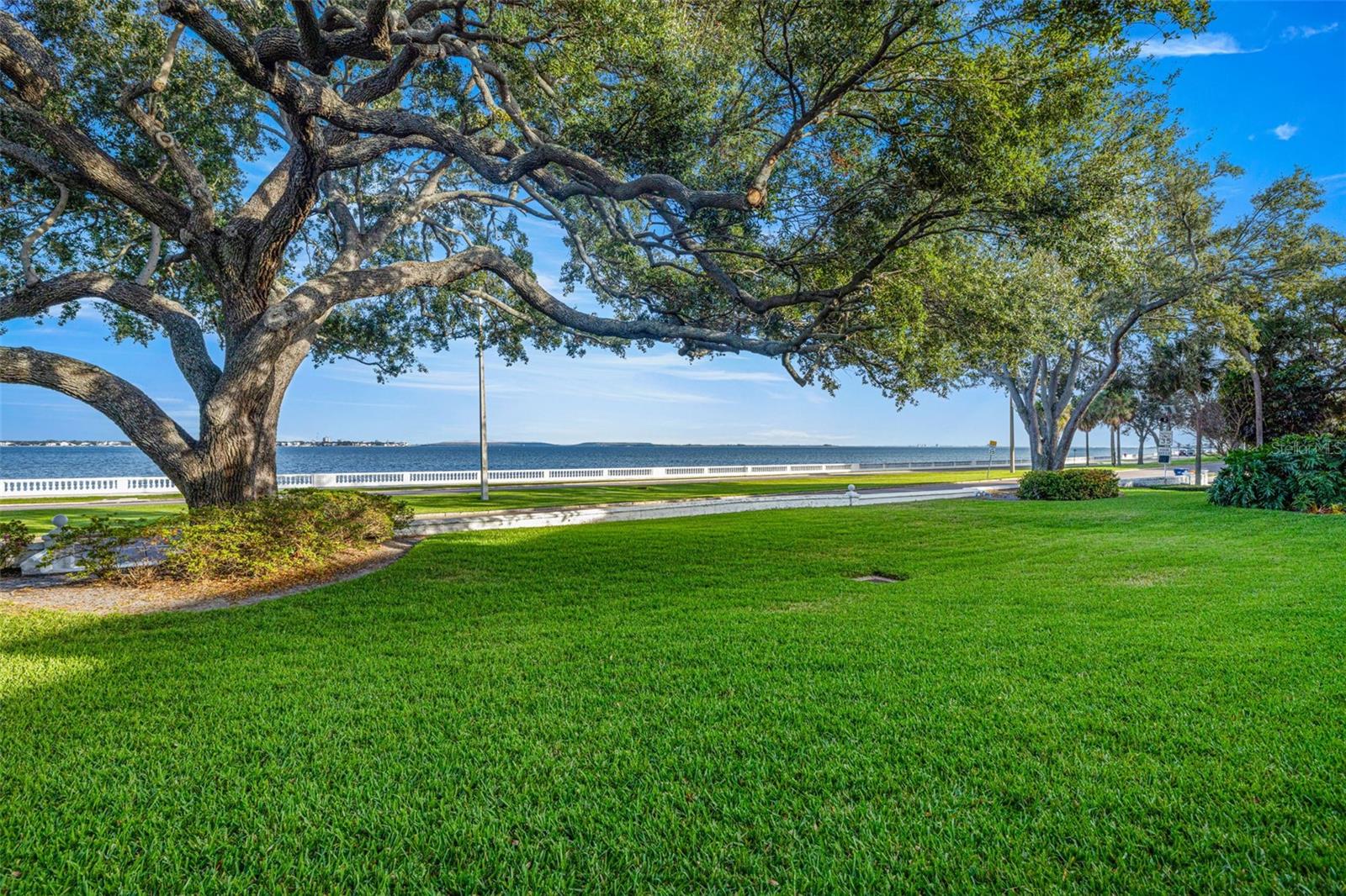 Image 17 of 37 For 3325 Bayshore Boulevard B13