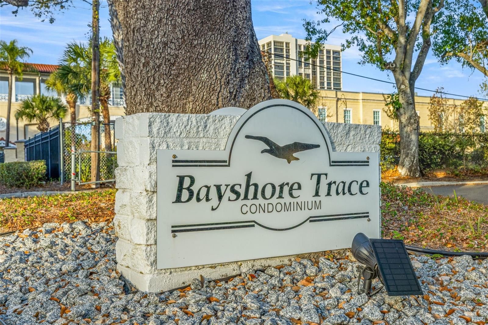 Image 2 of 37 For 3325 Bayshore Boulevard B13