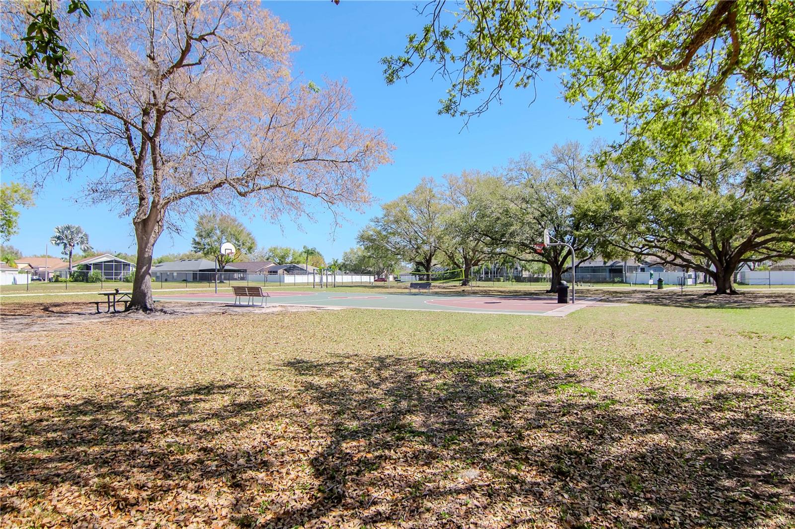 Image 53 of 72 For 2604 Goldcrest Place