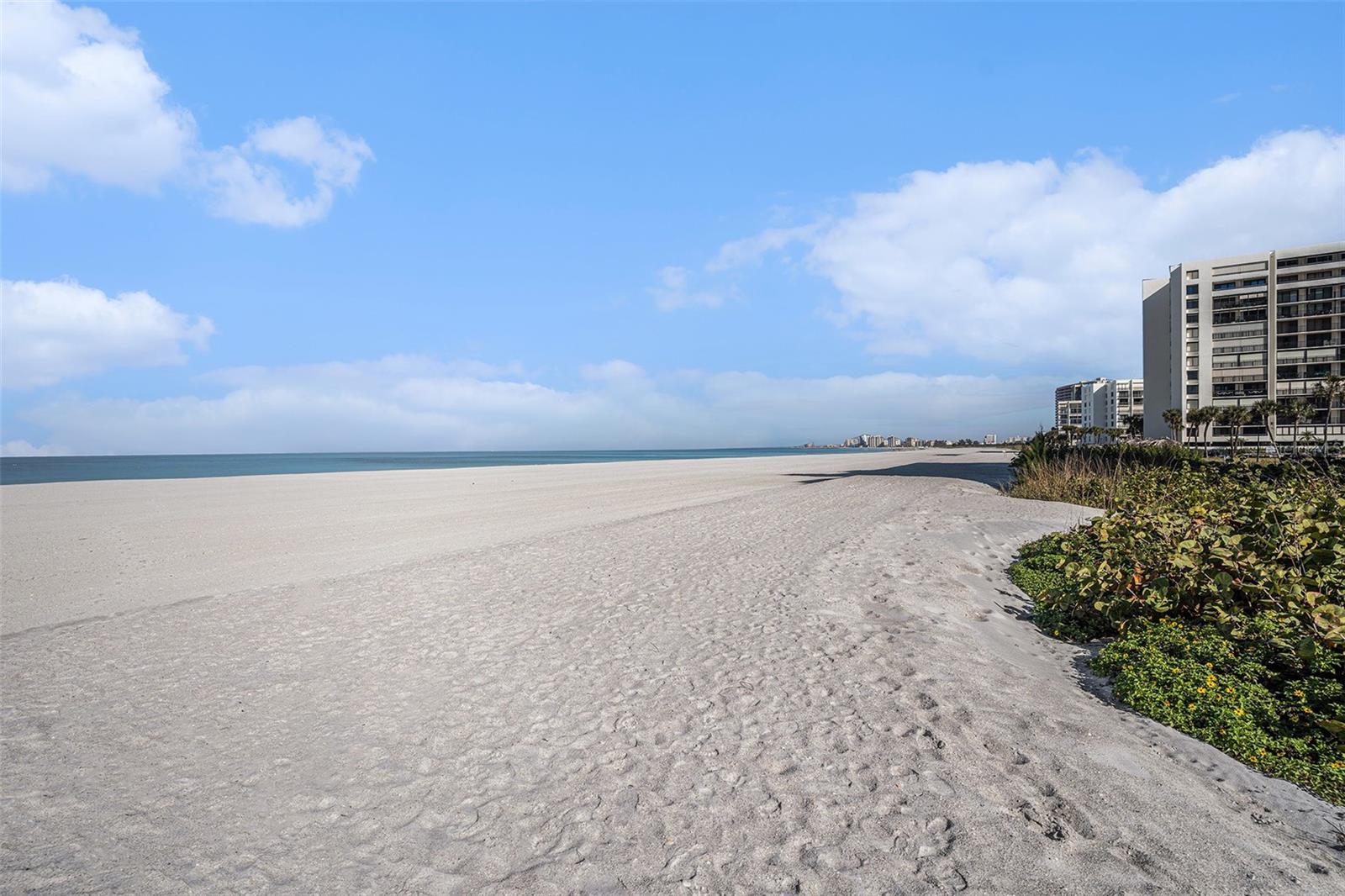 Listing photo id 33 for 1480 Gulf Boulevard 905