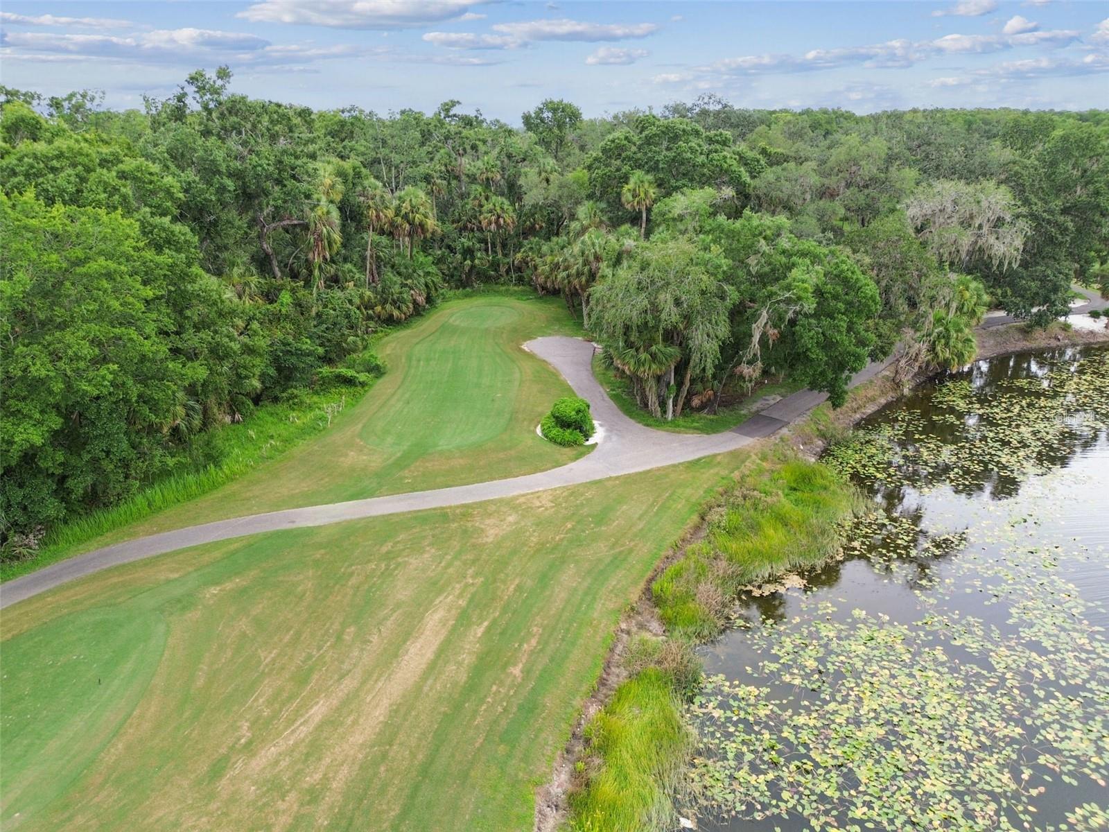 Image 59 of 62 For 15905 Wainwright Court