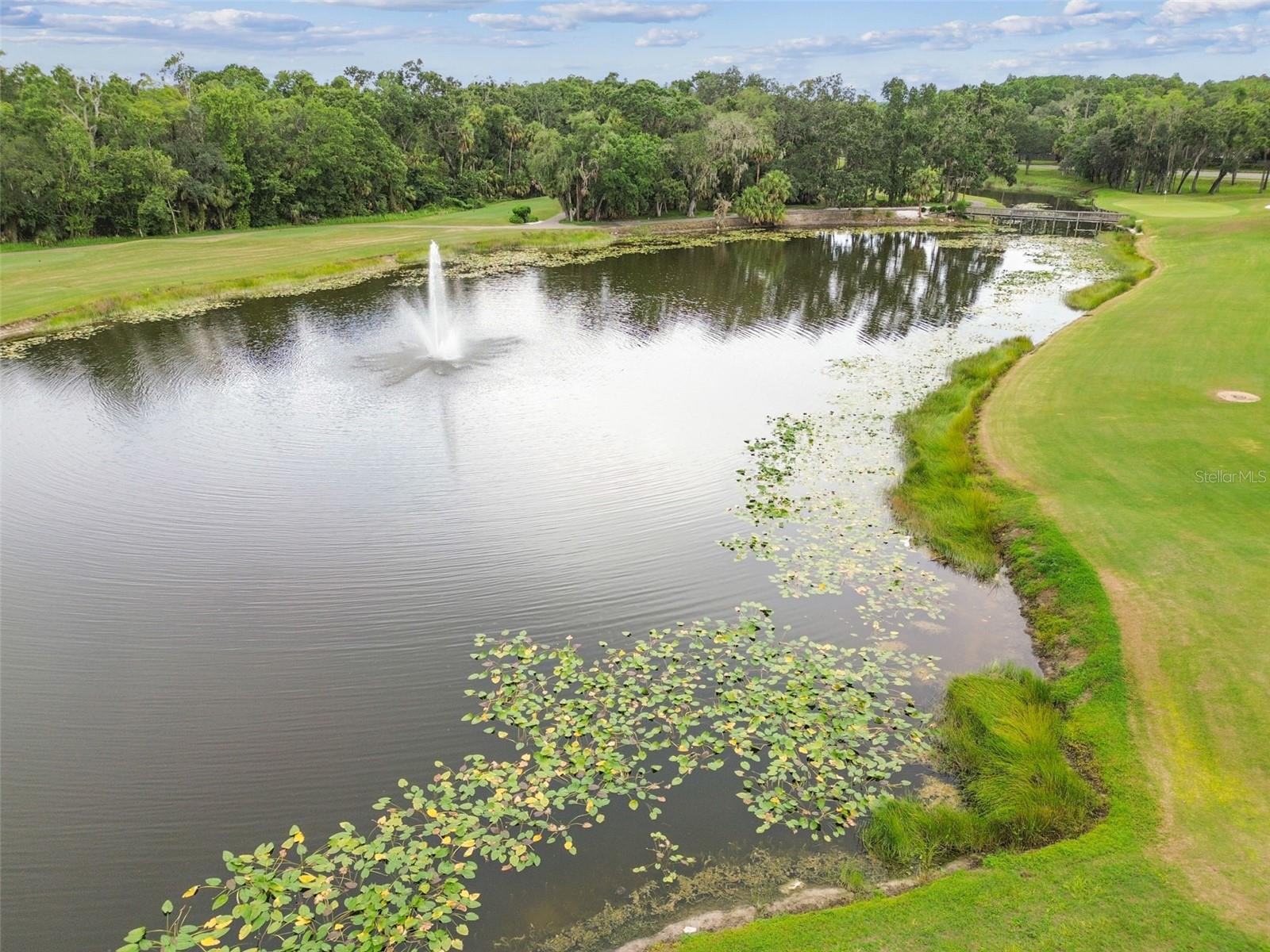 Image 61 of 62 For 15905 Wainwright Court