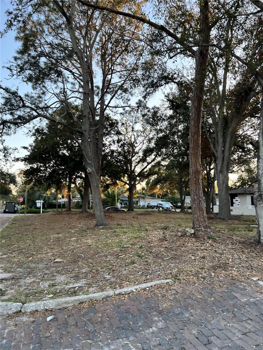 Image 4 of 7 For 6201 11th Avenue S