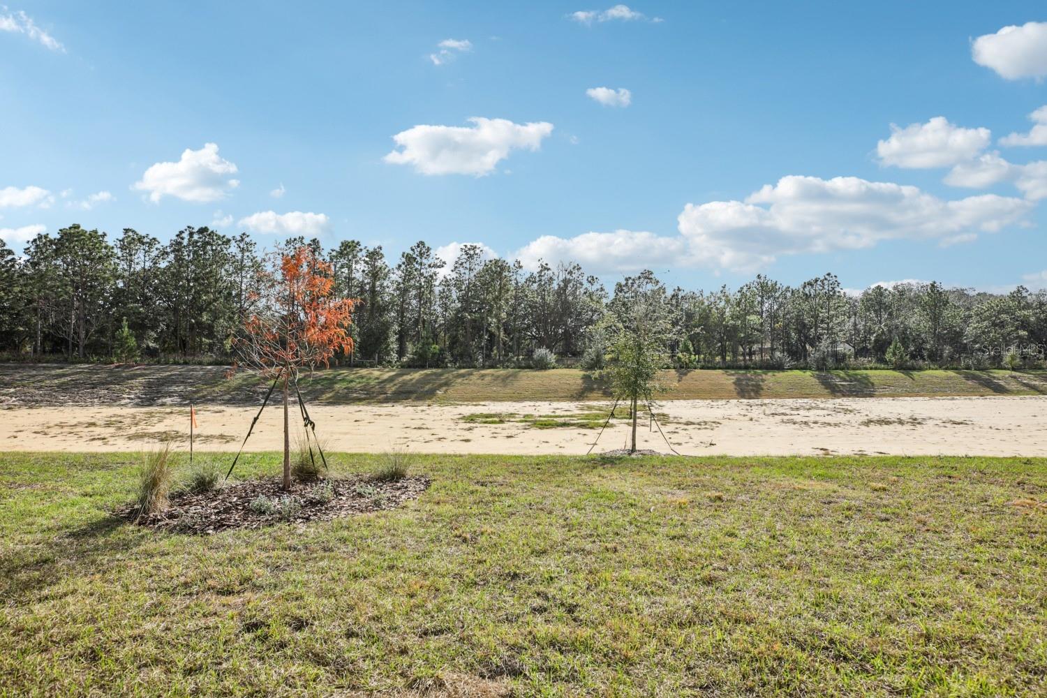 Image 65 of 73 For 22137 Amberbush Court