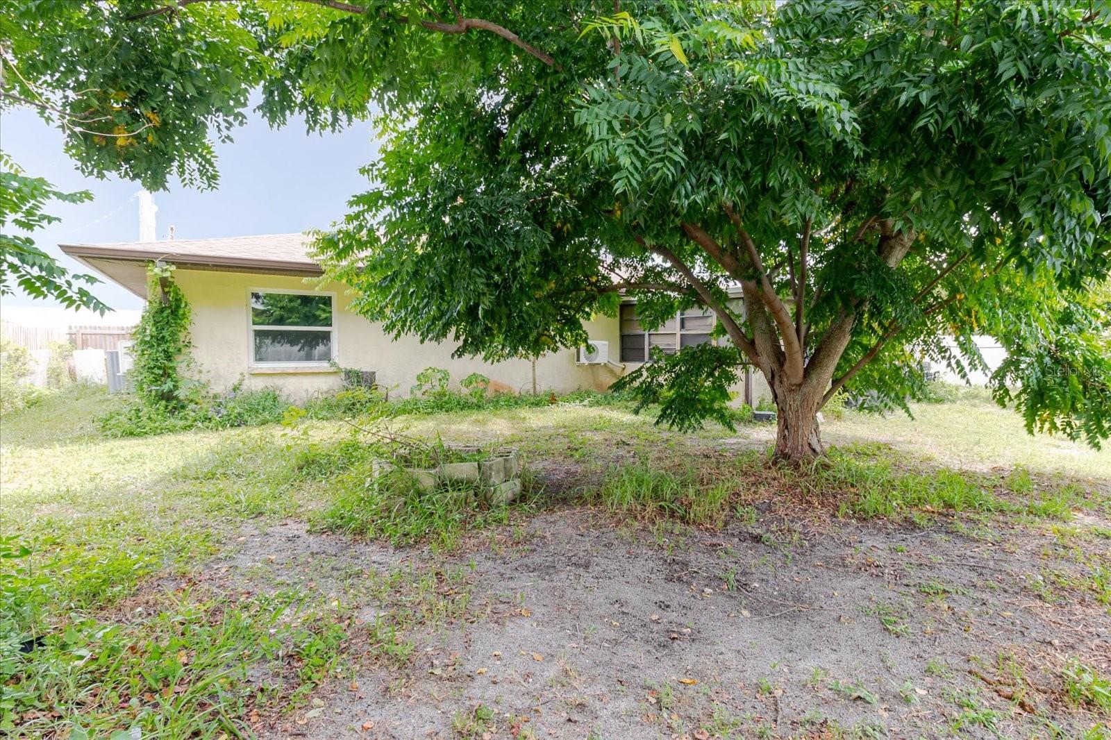 Image 47 of 71 For 8513 Bella Via