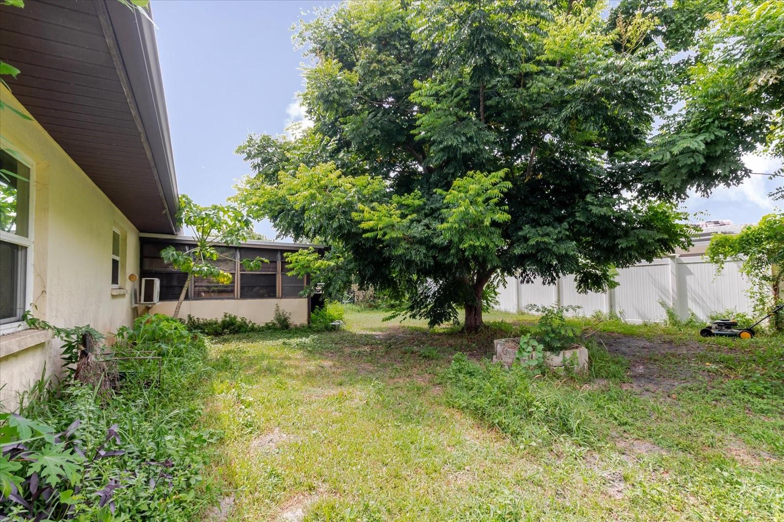 Image 49 of 71 For 8513 Bella Via