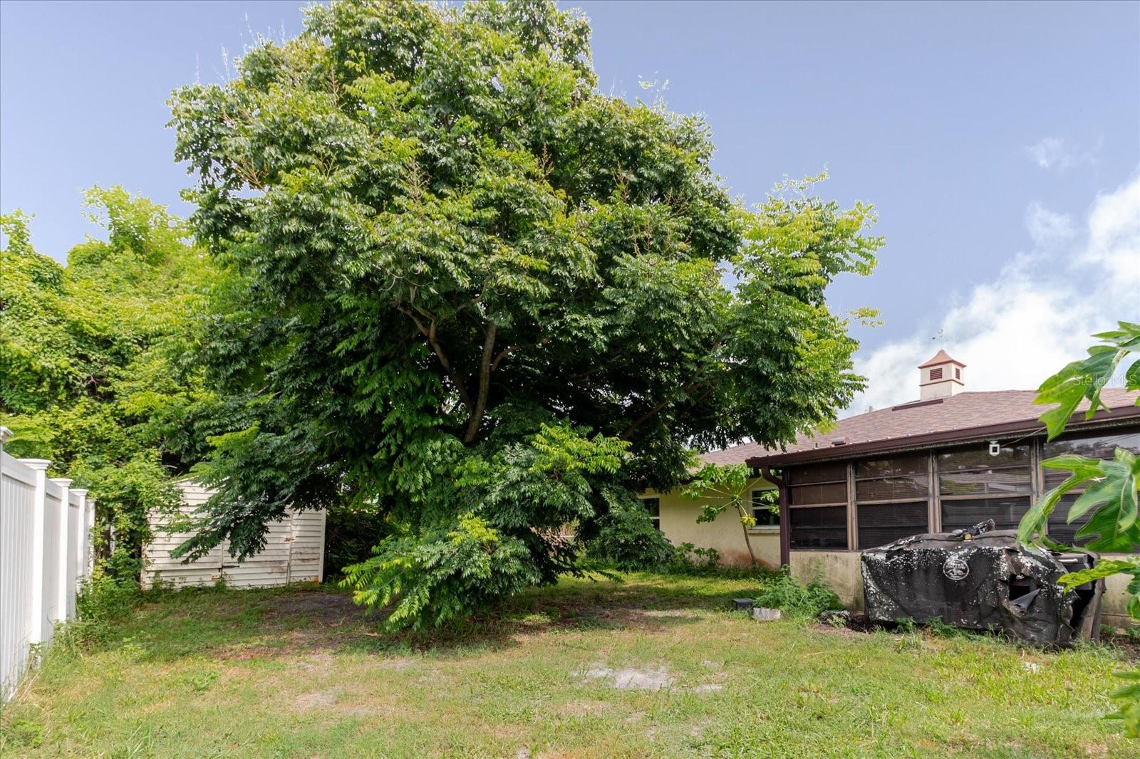 Image 51 of 71 For 8513 Bella Via