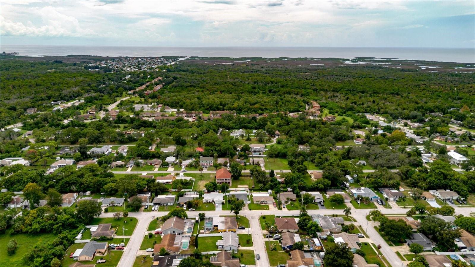 Image 56 of 71 For 8513 Bella Via