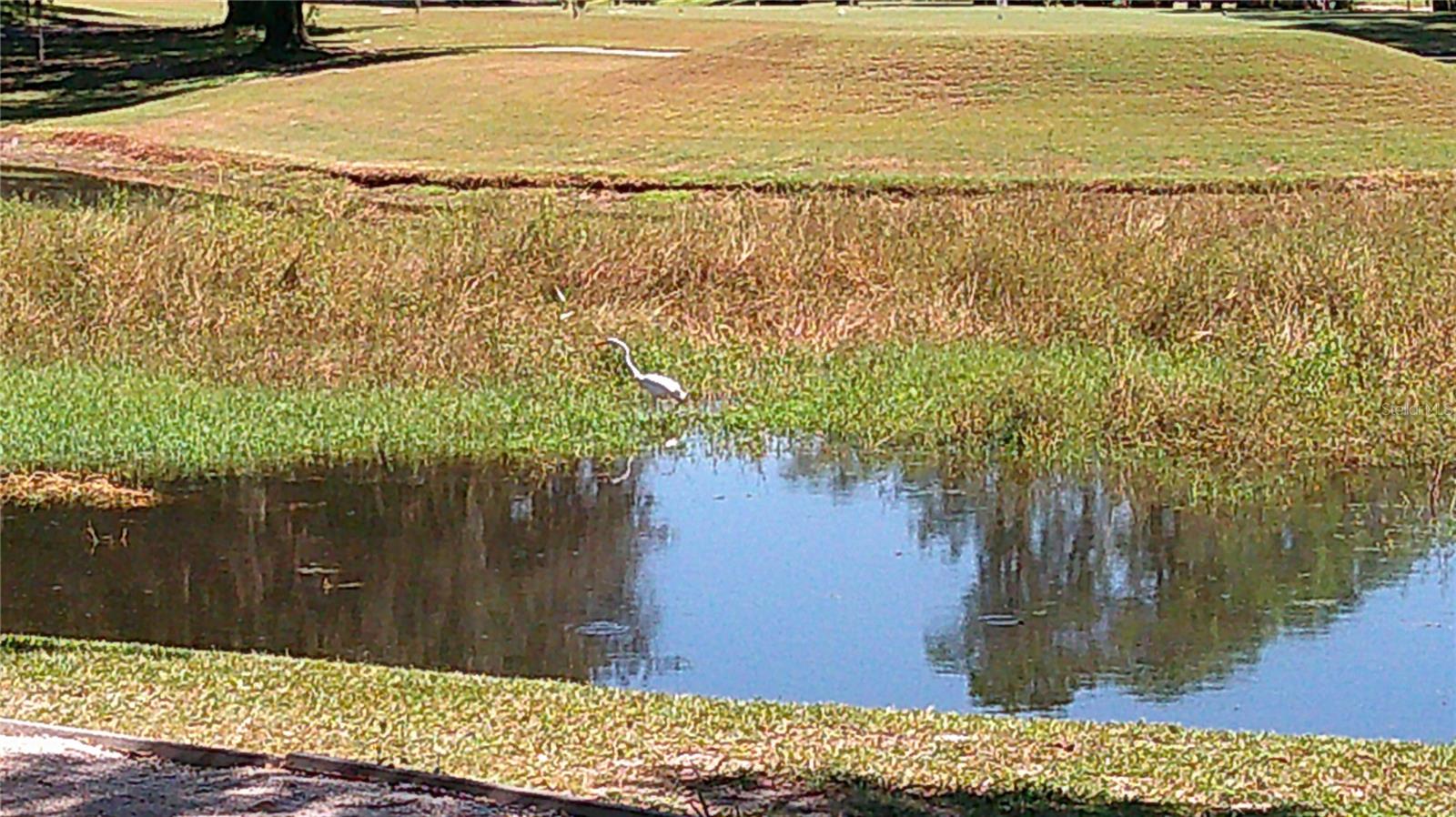 Image 23 of 40 For 3002 Bent Creek Drive