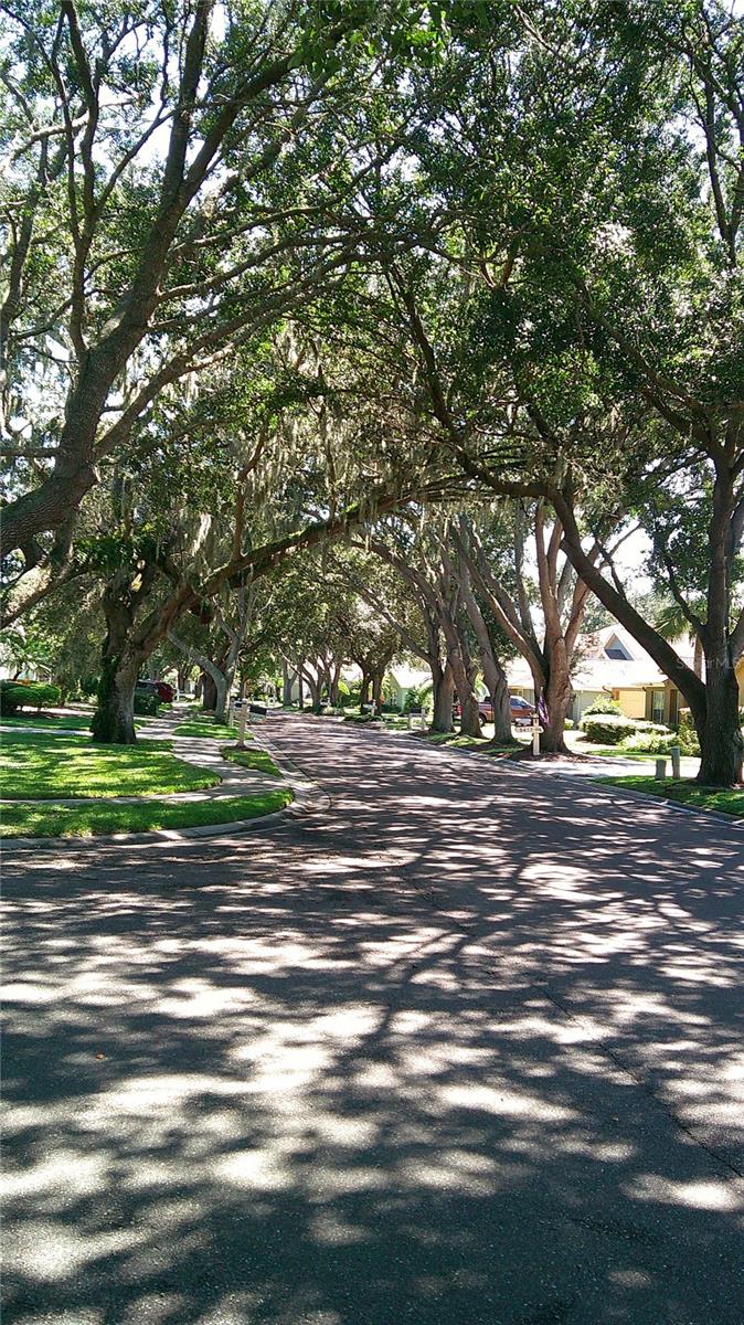 Image 40 of 40 For 3002 Bent Creek Drive