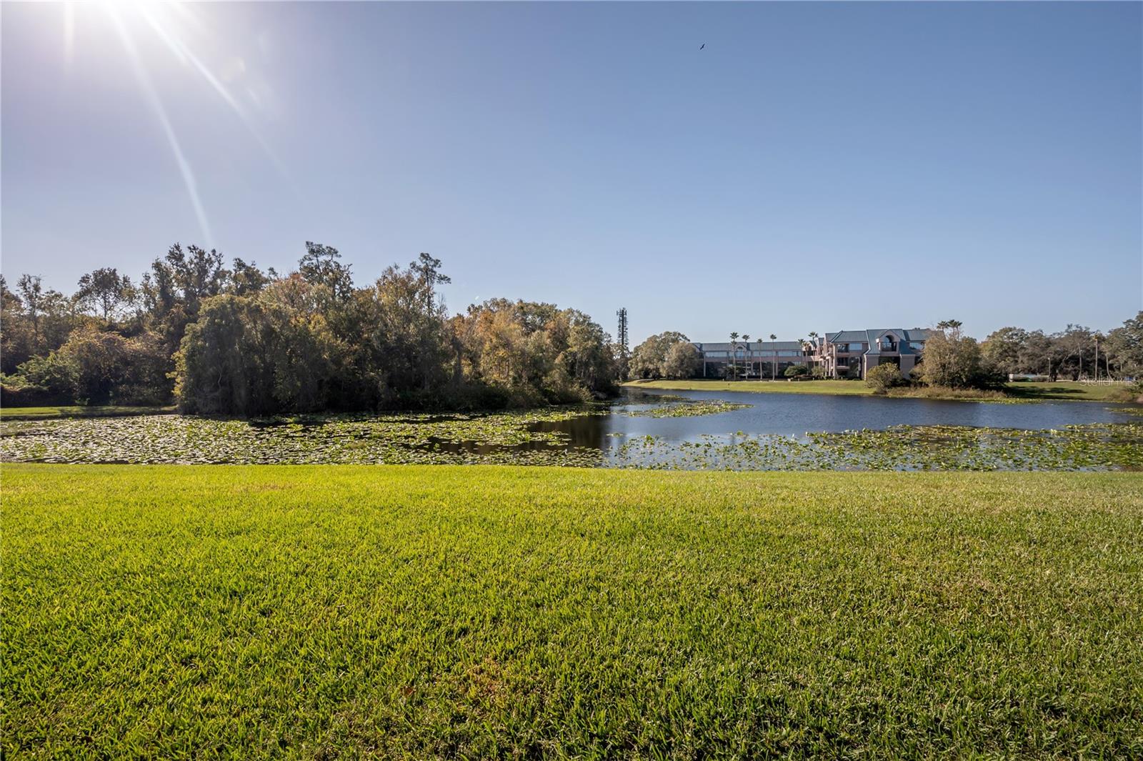 Listing photo id 19 for 5100 Burchette Road 3903